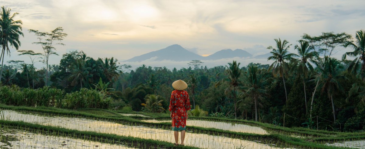 Mental health and wellness retreats Bali